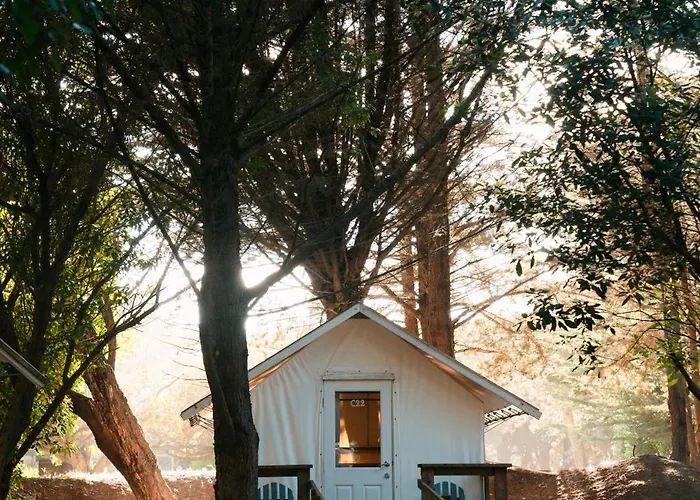 Costanoa