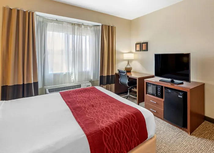 The Atrium Hotel Sfo Airport - Free Shuttle & Breakfast