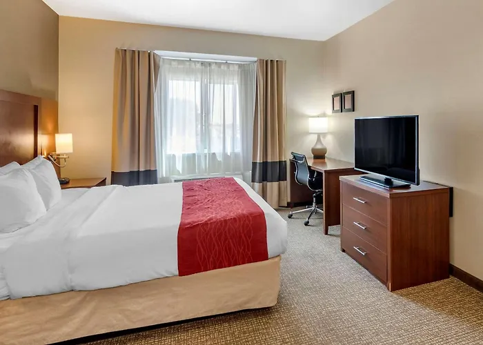 The Atrium Hotel Sfo Airport - Free Shuttle & Breakfast